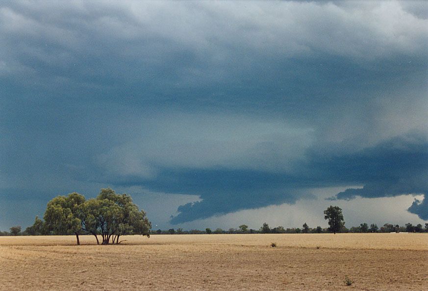 cumulonimbus thunderstorm_base : 40km SW of Walgett, NSW   8 December 2004