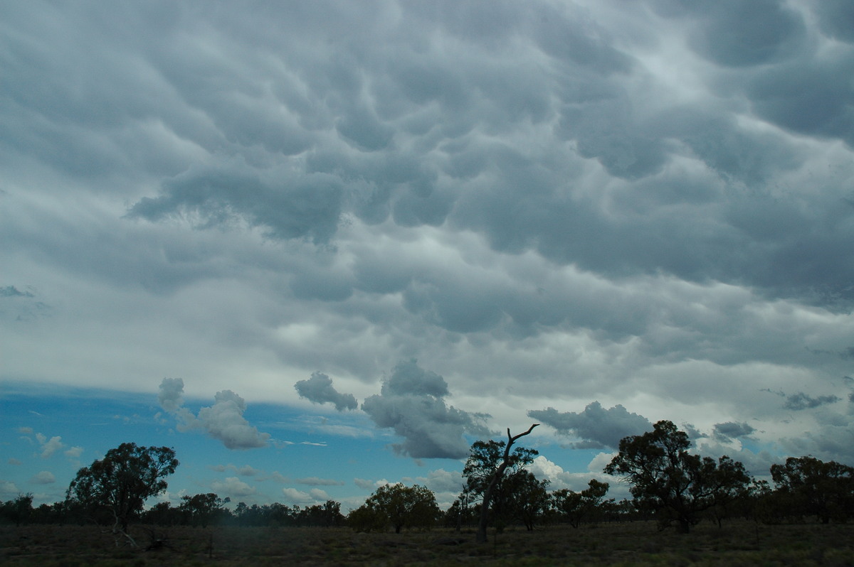anvil thunderstorm_anvils : W of Walgett, NSW   8 December 2004
