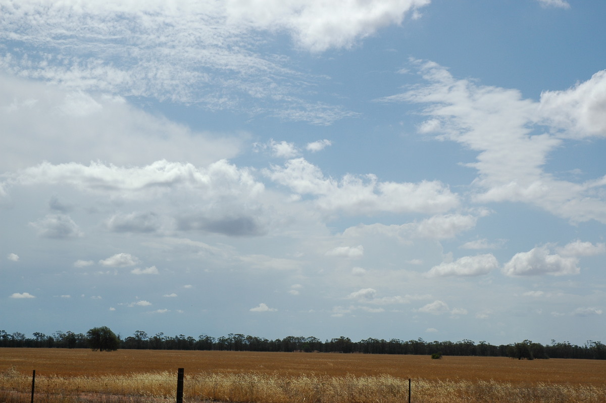 cumulus humilis : near Dubbo, NSW   9 December 2004