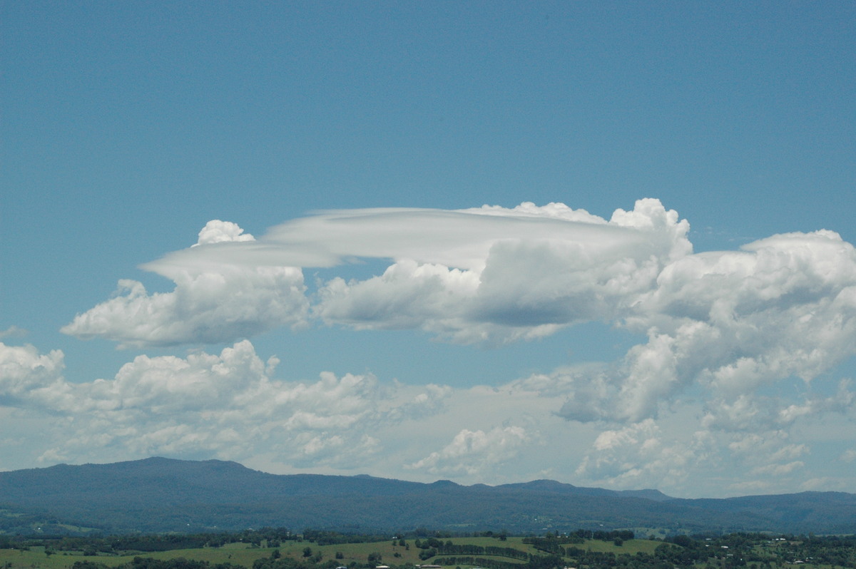 cumulus mediocris : McLeans Ridges, NSW   12 December 2004