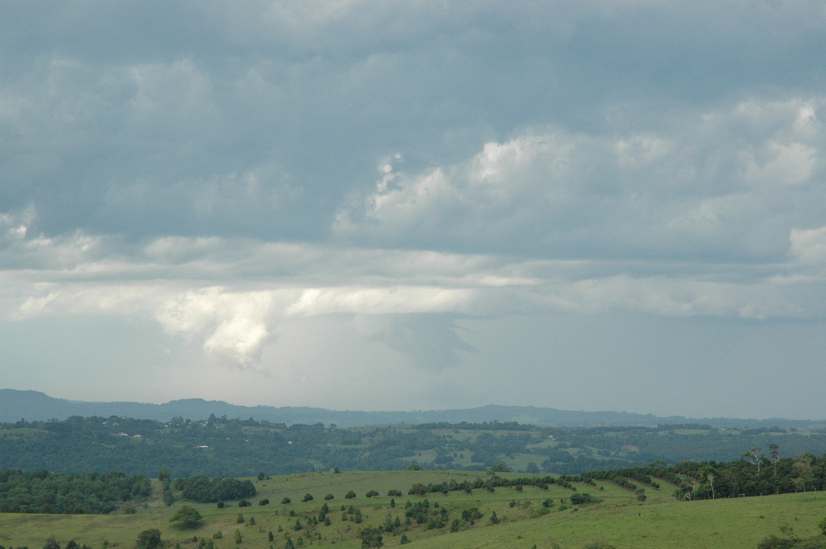 cumulonimbus thunderstorm_base : McLeans Ridges, NSW   12 December 2004