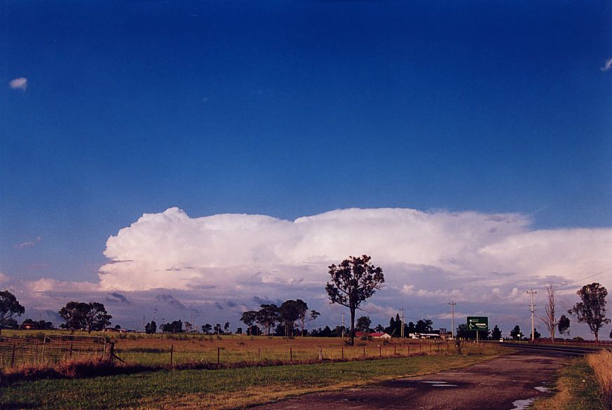 thunderstorm cumulonimbus_incus : Luddenham, NSW   13 December 2004