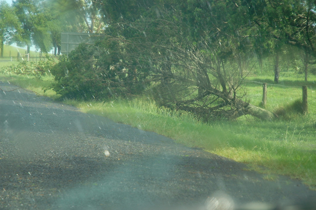 precipitation precipitation_rain : near Bangalow, NSW   13 December 2004