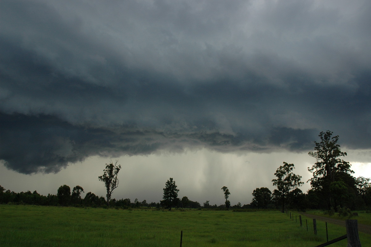 shelfcloud shelf_cloud : near Whiporie, NSW   19 December 2004