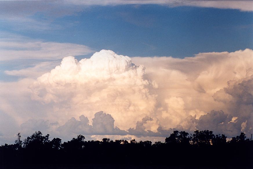 thunderstorm cumulonimbus_incus : S of Dubbo, NSW   23 December 2004