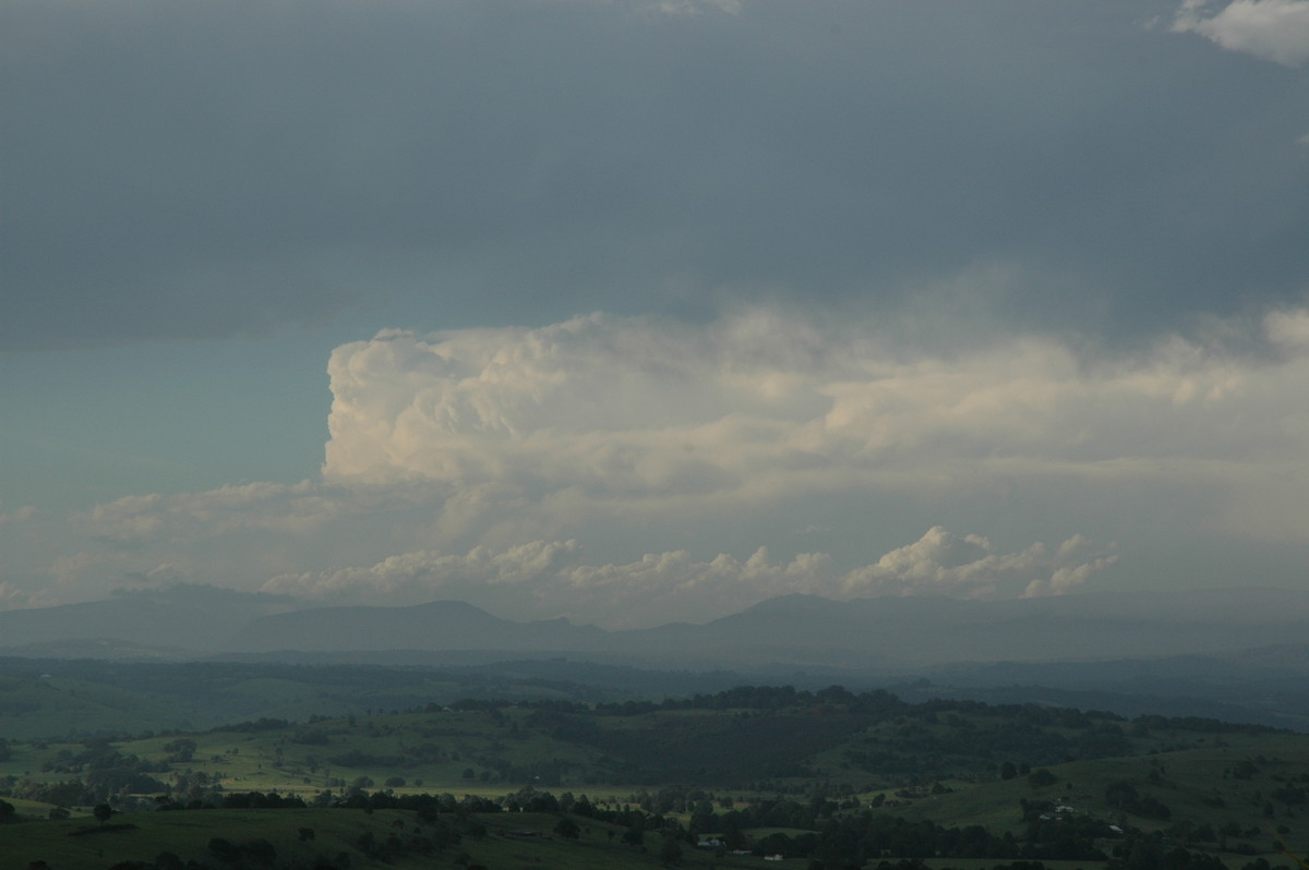 thunderstorm cumulonimbus_incus : McLeans Ridges, NSW   23 December 2004