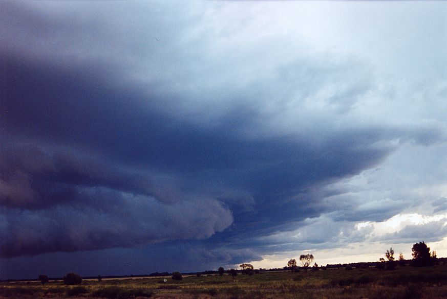 shelfcloud shelf_cloud : N of Moree, NSW   27 December 2004