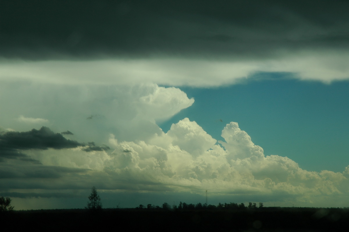thunderstorm cumulonimbus_incus : near Moree, NSW   27 December 2004