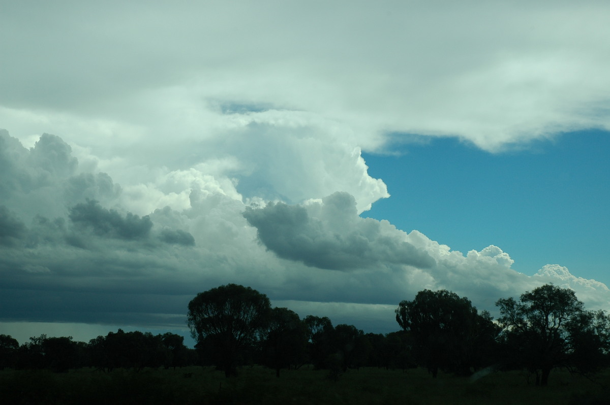 thunderstorm cumulonimbus_incus : near Moree, NSW   27 December 2004