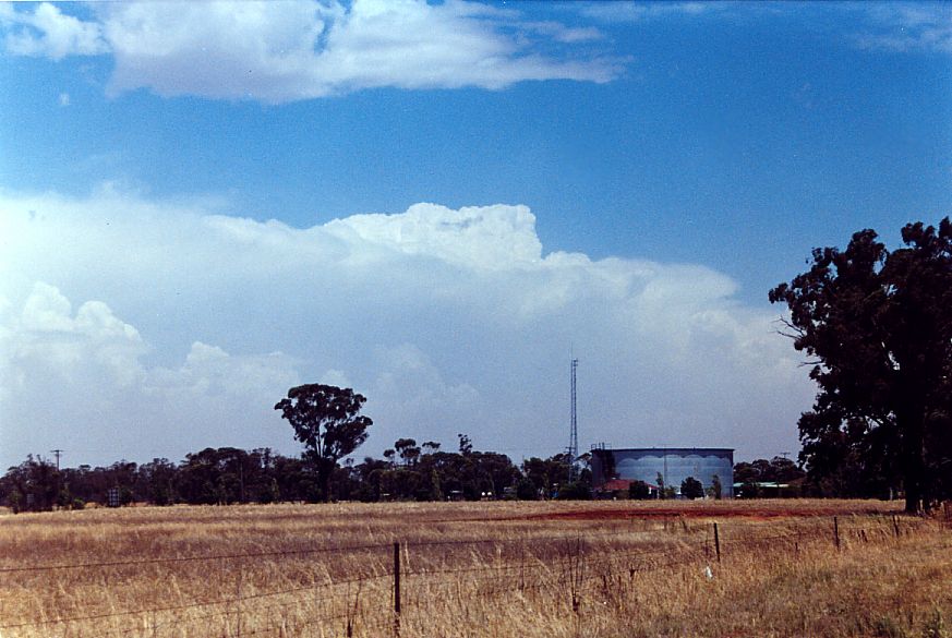 thunderstorm cumulonimbus_incus : West Wyalong, NSW   20 January 2005
