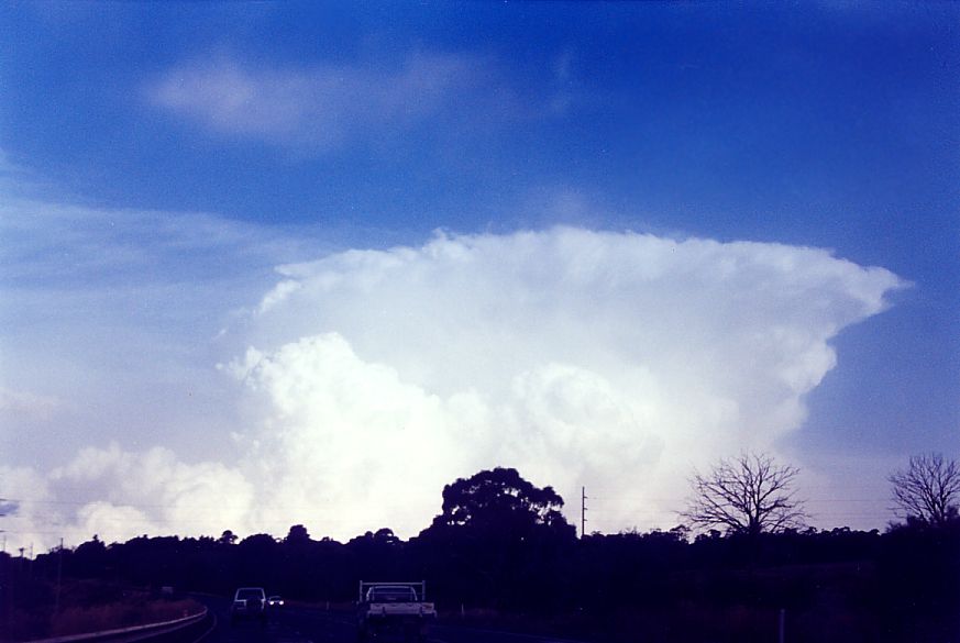 thunderstorm cumulonimbus_incus : E of Bathurst, NSW   20 January 2005