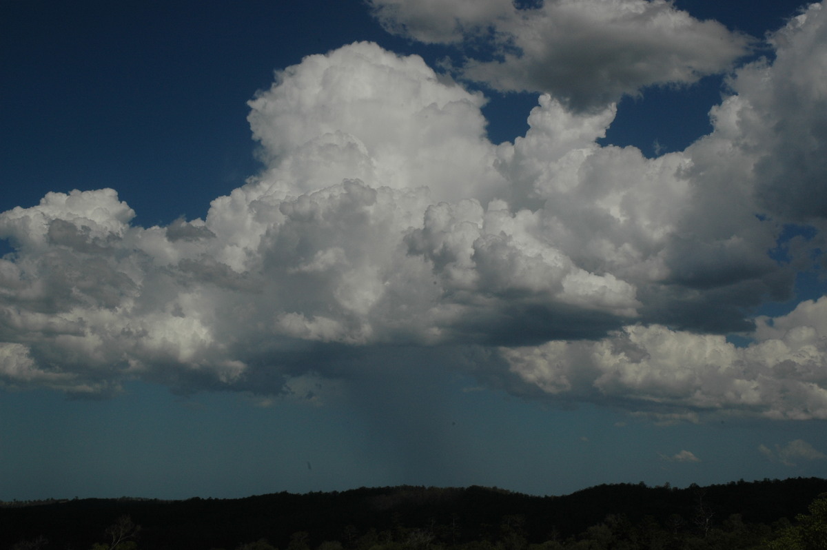 raincascade precipitation_cascade : Tregeagle, NSW   21 January 2005
