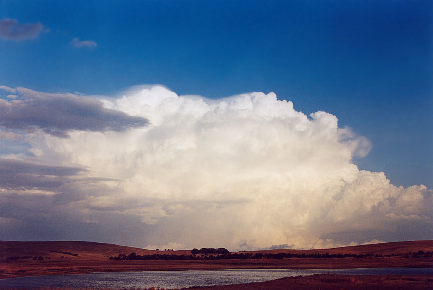 thunderstorm cumulonimbus_incus : Crookwell, NSW   22 January 2005