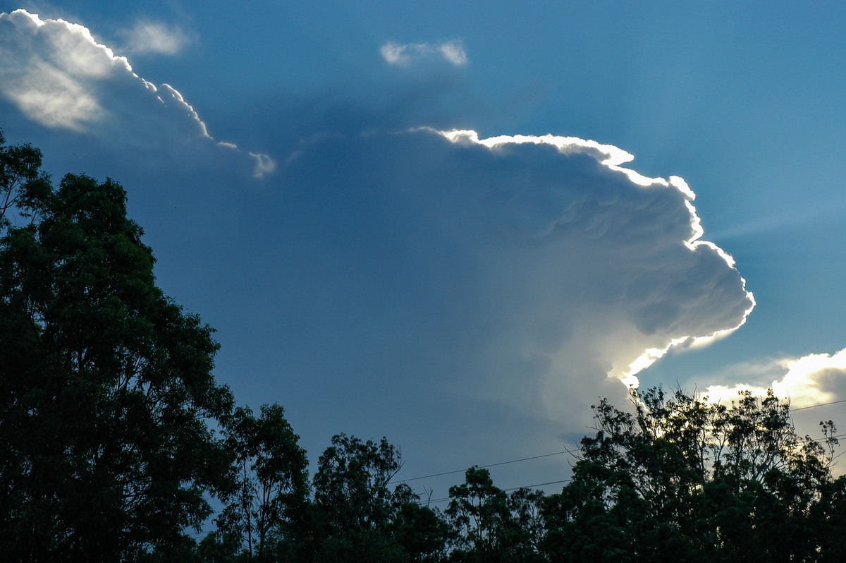 thunderstorm cumulonimbus_incus : Whiporie, NSW   2 February 2005