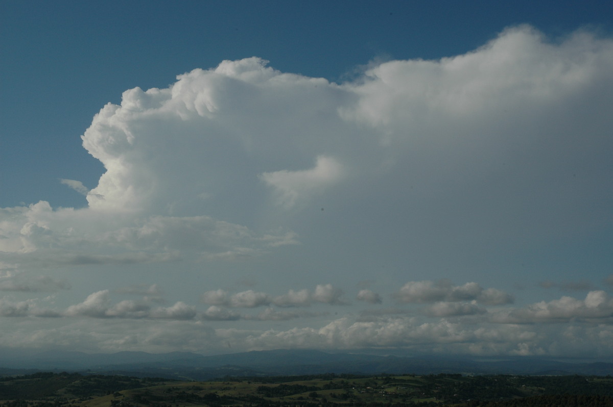 thunderstorm cumulonimbus_incus : McLeans Ridges, NSW   17 February 2005