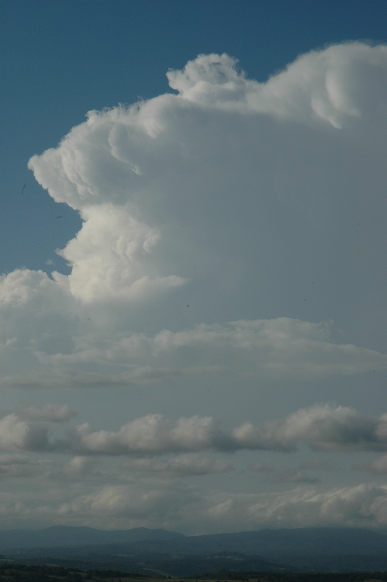 thunderstorm cumulonimbus_incus : McLeans Ridges, NSW   17 February 2005
