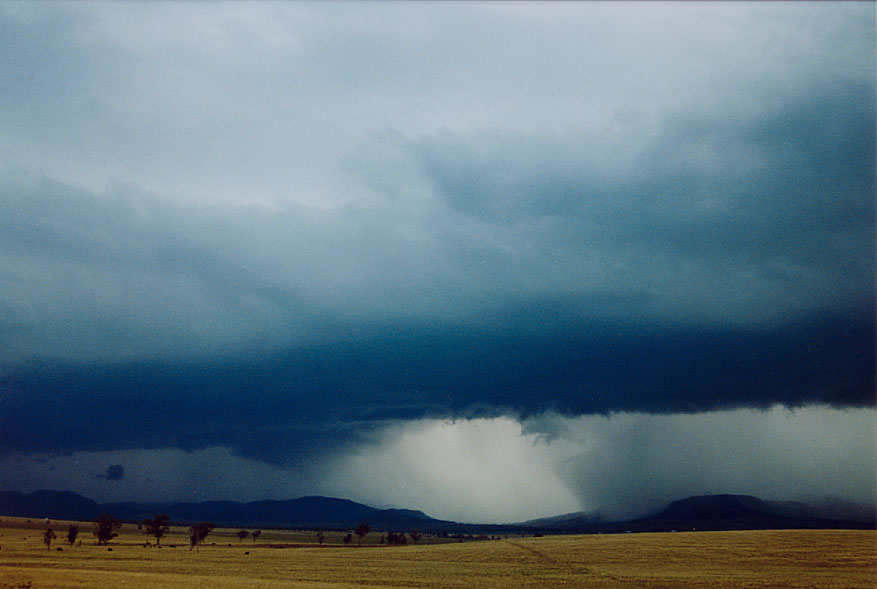 cumulonimbus supercell_thunderstorm : near Denman, NSW   20 February 2005