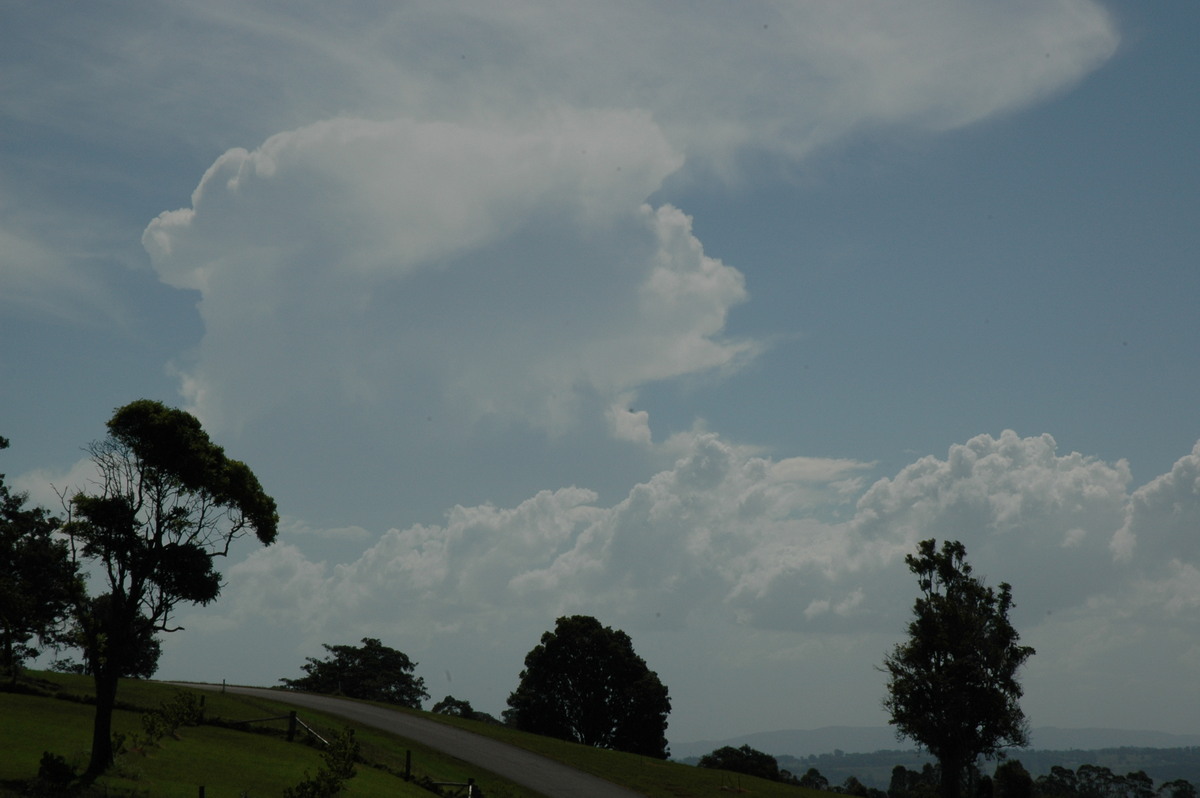 thunderstorm cumulonimbus_incus : McLeans Ridges, NSW   22 February 2005