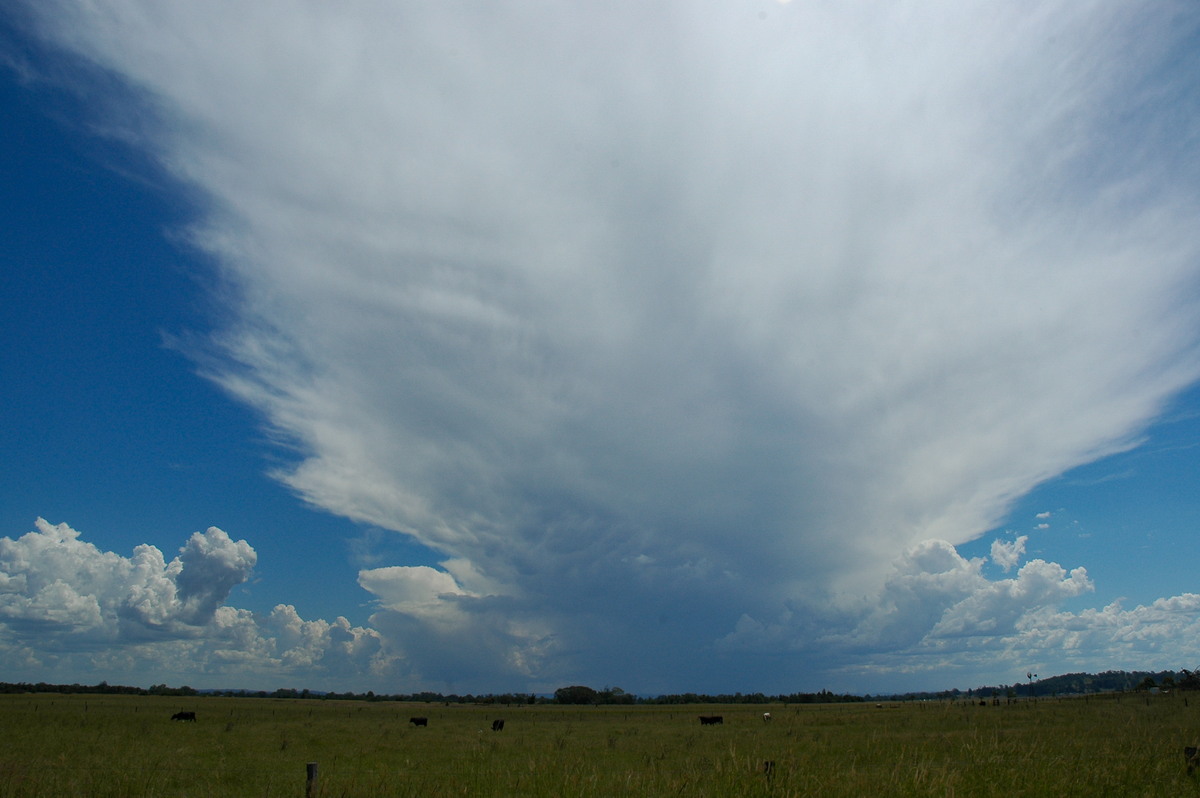 anvil thunderstorm_anvils : McKees Hill, NSW   10 March 2005