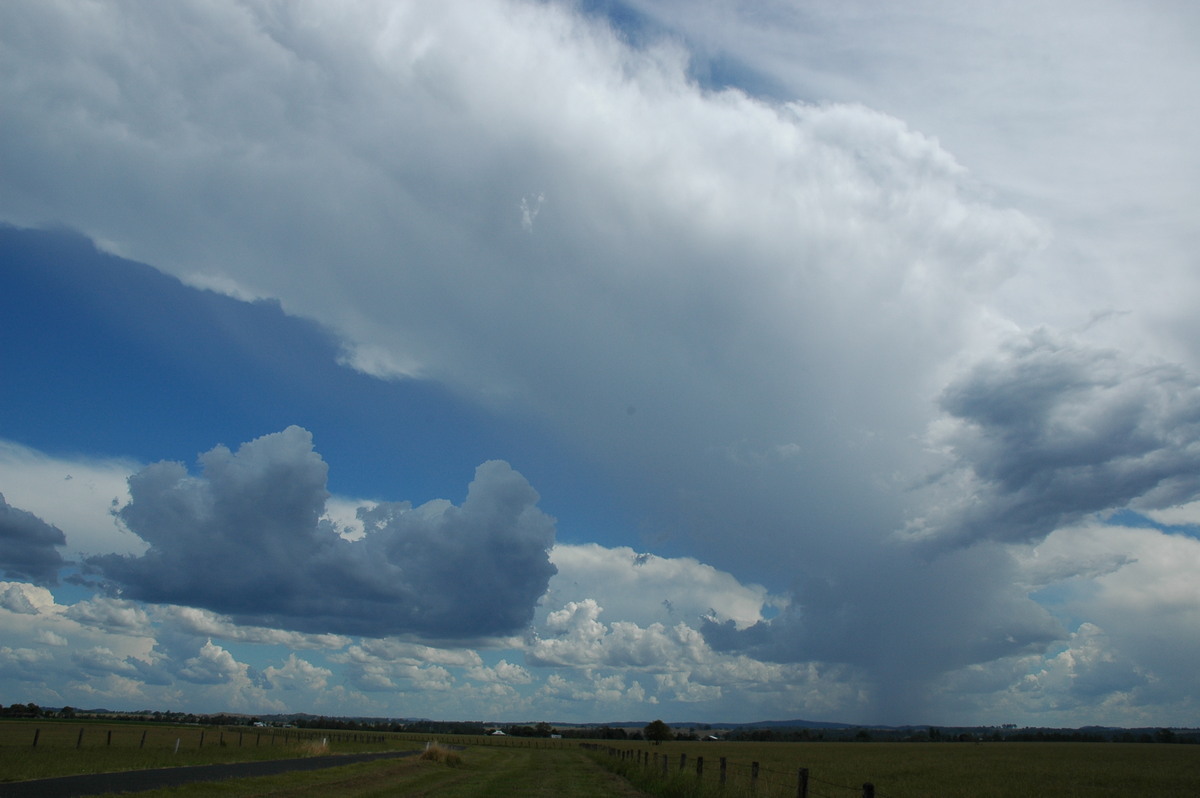anvil thunderstorm_anvils : Casino, NSW   10 March 2005