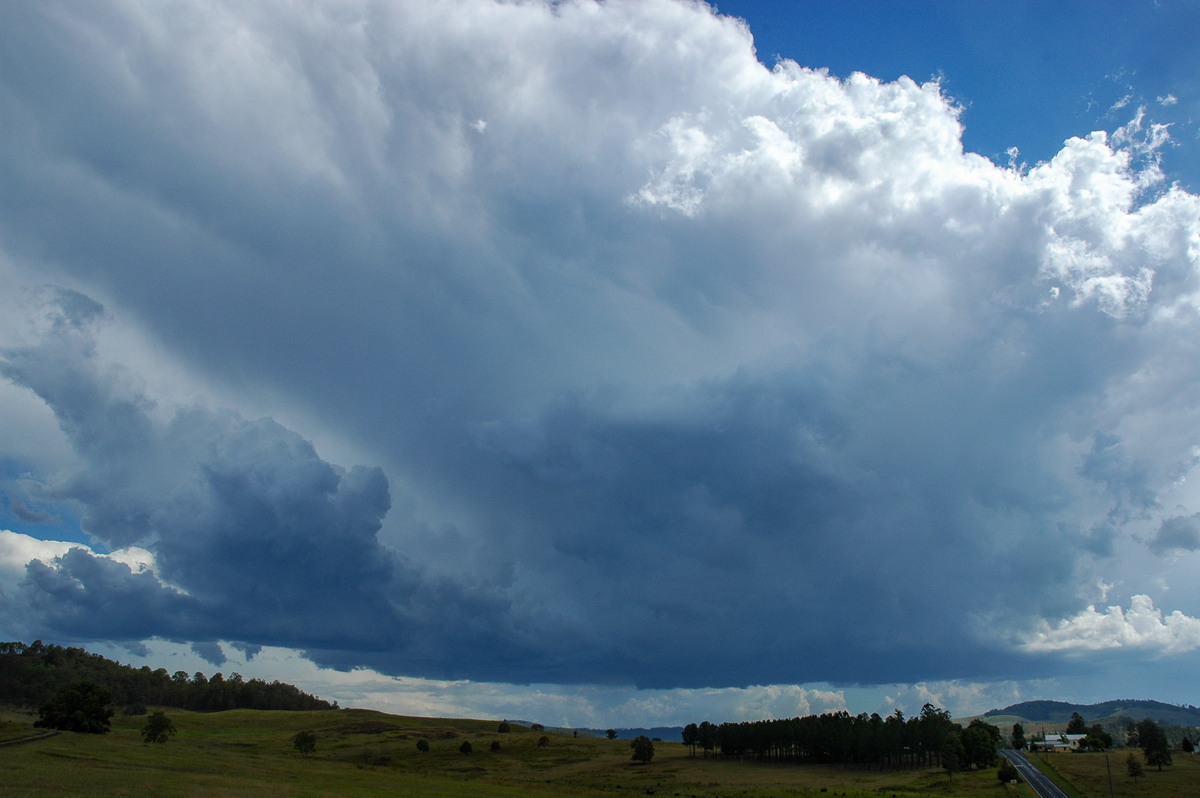 thunderstorm cumulonimbus_incus : Mummulgum, NSW   10 March 2005