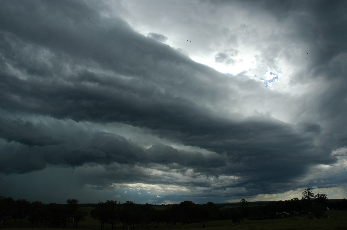 shelfcloud shelf_cloud : near Tabulam, NSW   10 March 2005
