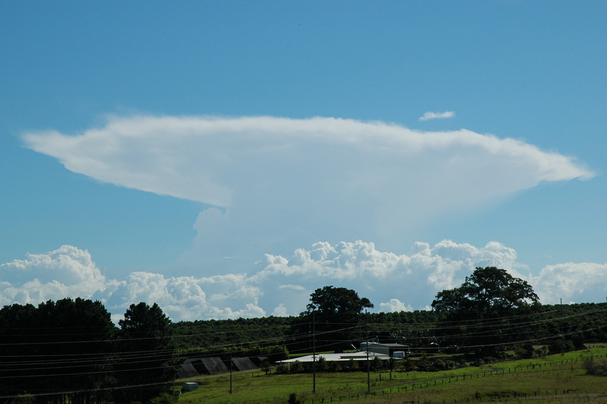 anvil thunderstorm_anvils : Alstonville, NSW   11 March 2005