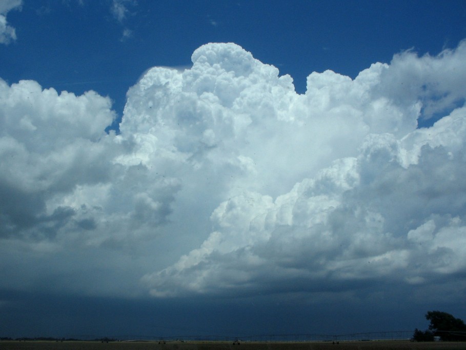 thunderstorm cumulonimbus_incus : Bellview, New Mexico, USA   31 May 2005