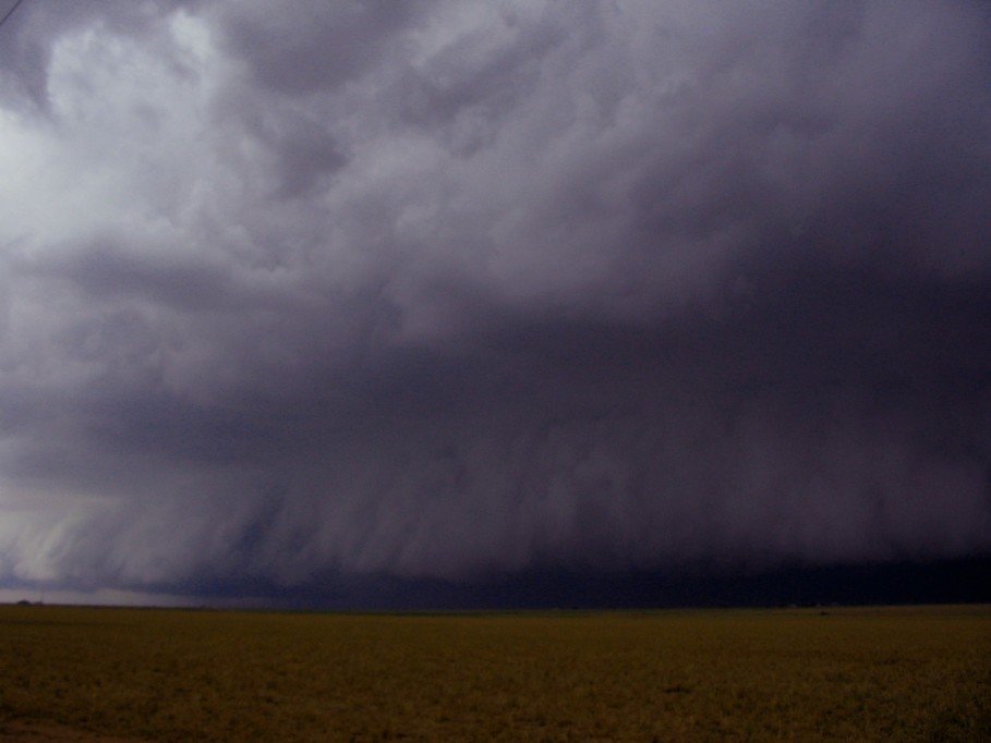 shelfcloud shelf_cloud : near Dimmit, Texas, USA   31 May 2005