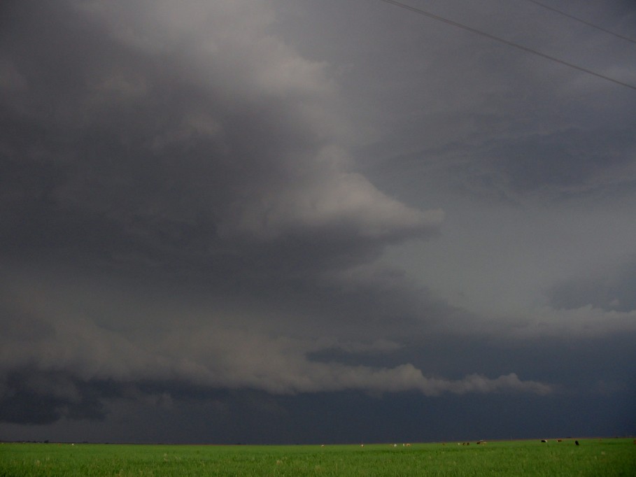 inflowband thunderstorm_inflow_band : near Littlefield, Texas, USA   31 May 2005