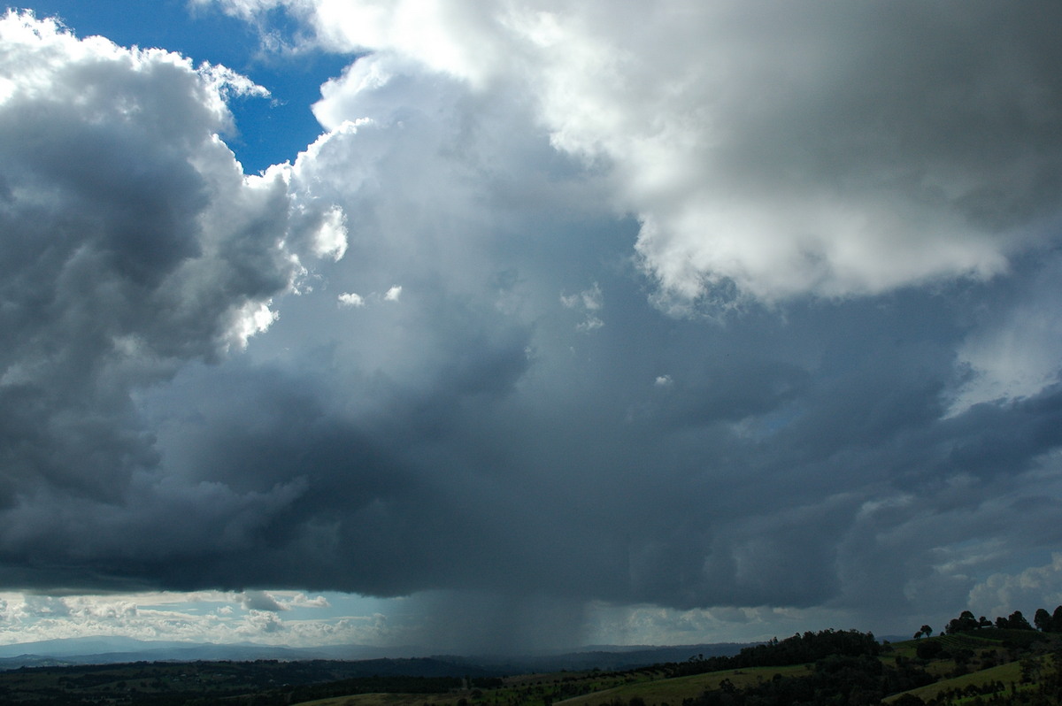 raincascade precipitation_cascade : McLeans Ridges, NSW   7 June 2005