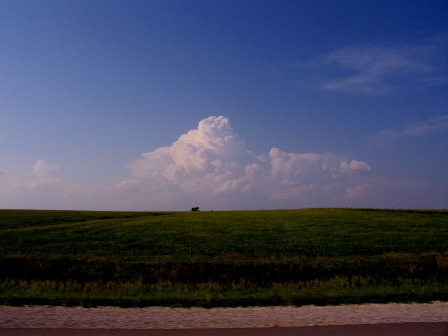 thunderstorm cumulonimbus_incus : near Holton Kansas, USA   8 June 2005