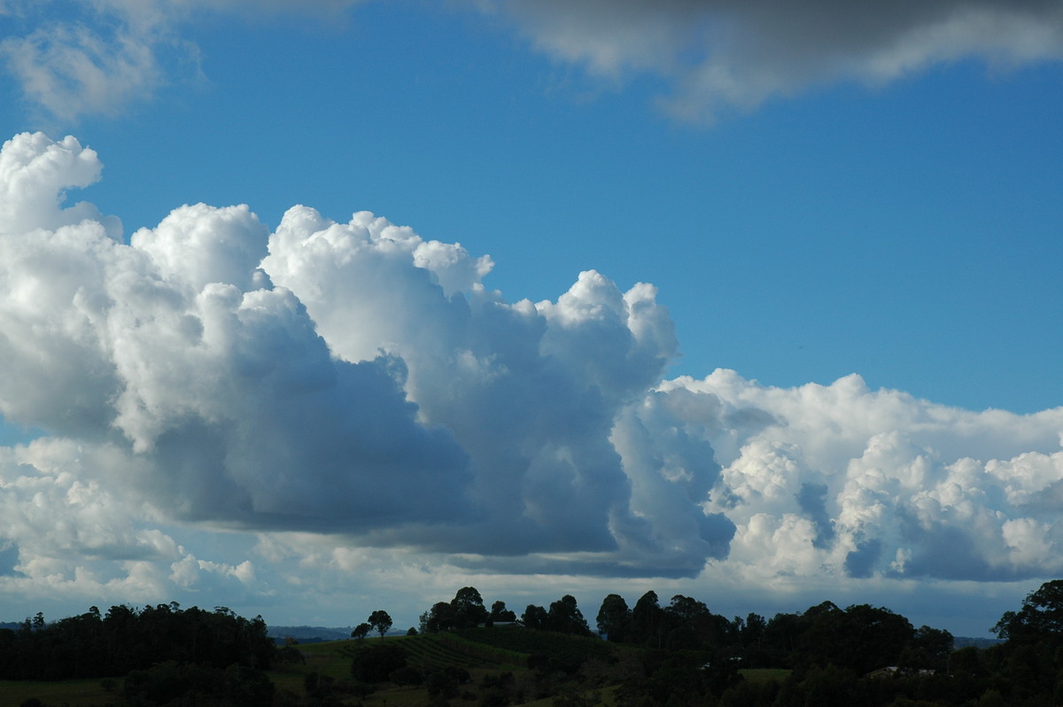 cumulus congestus : McLeans Ridges, NSW   8 June 2005