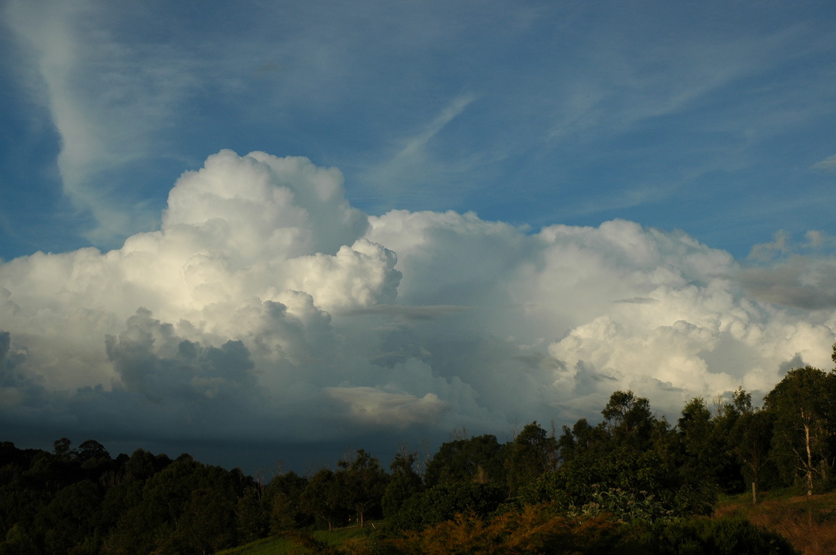 cumulus congestus : McLeans Ridges, NSW   8 June 2005