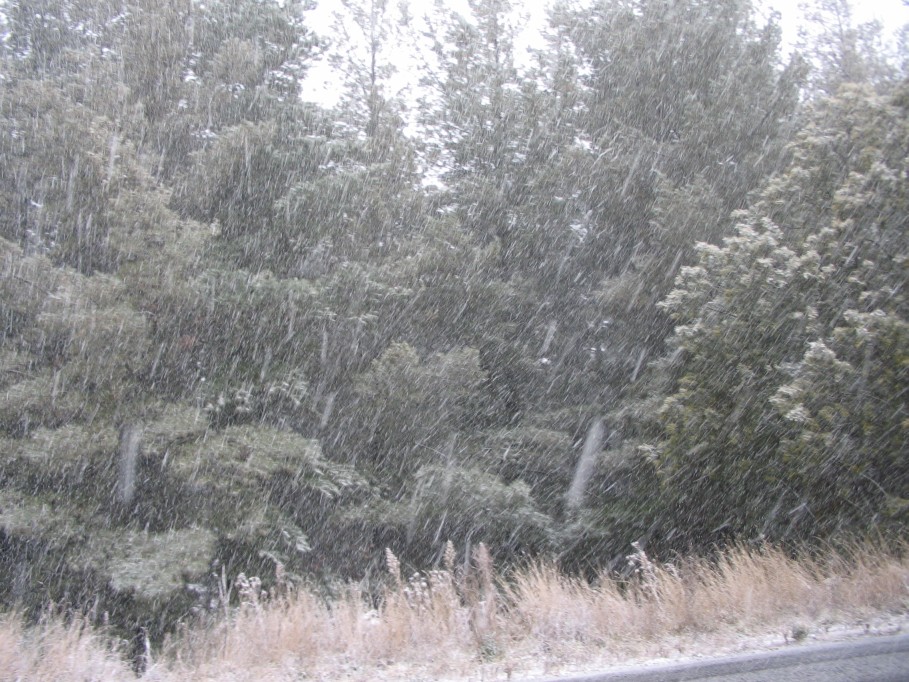 snow snow_pictures : near Oberon, NSW   22 June 2005