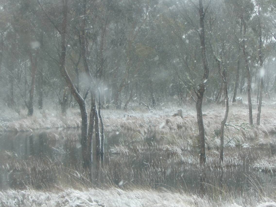 snow snow_pictures : near Oberon, NSW   23 June 2005