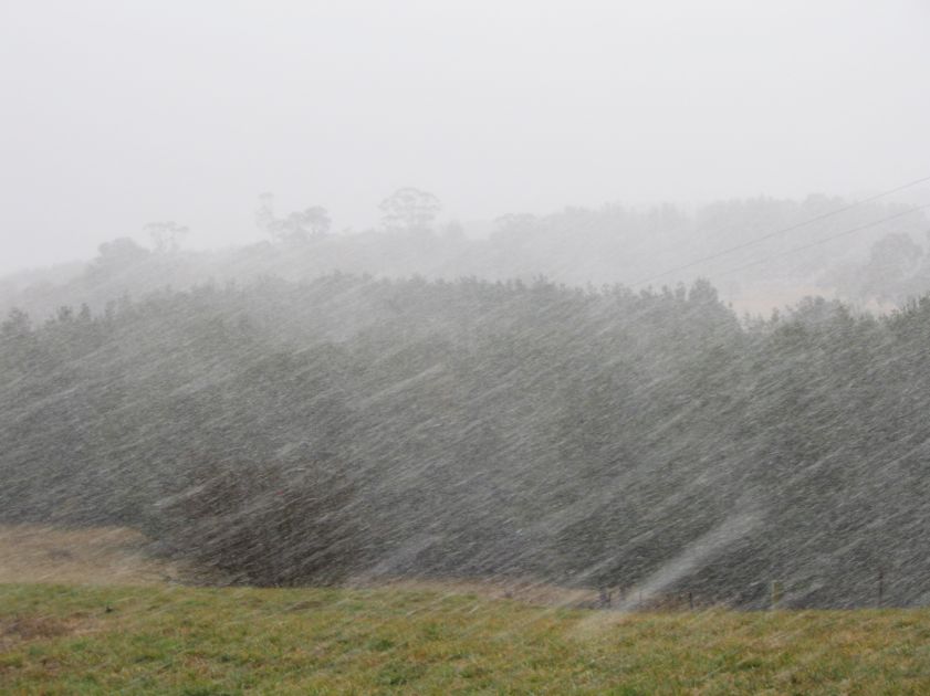 precipitation precipitation_rain : near Oberon, NSW   10 August 2005