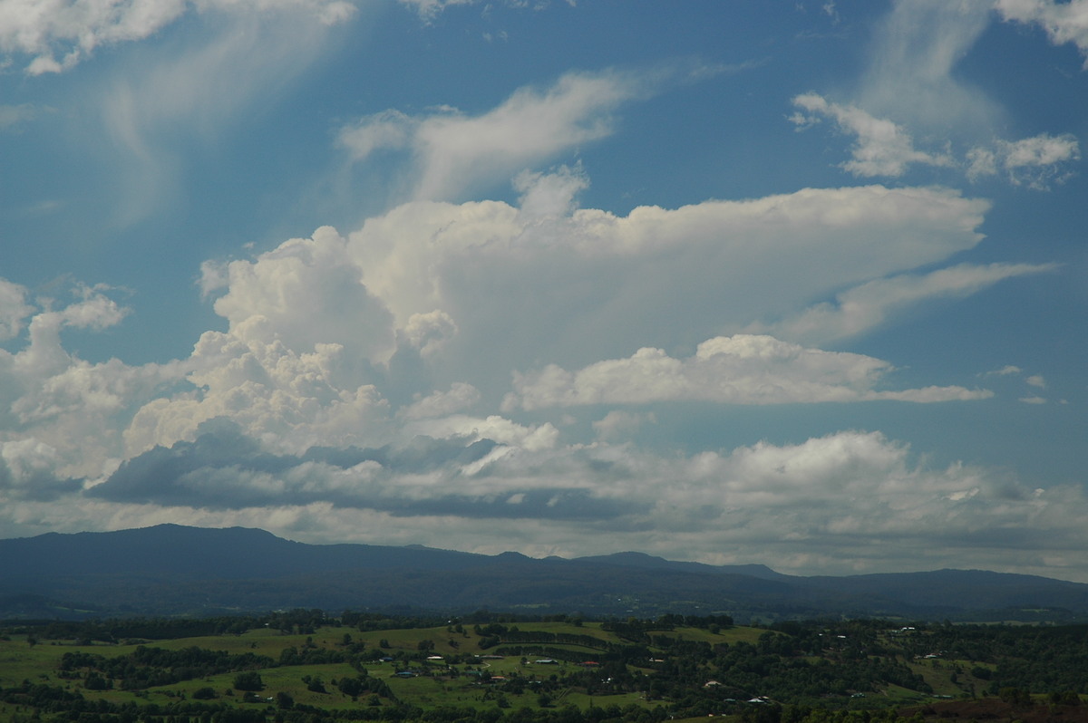 anvil thunderstorm_anvils : McLeans Ridges, NSW   23 October 2005