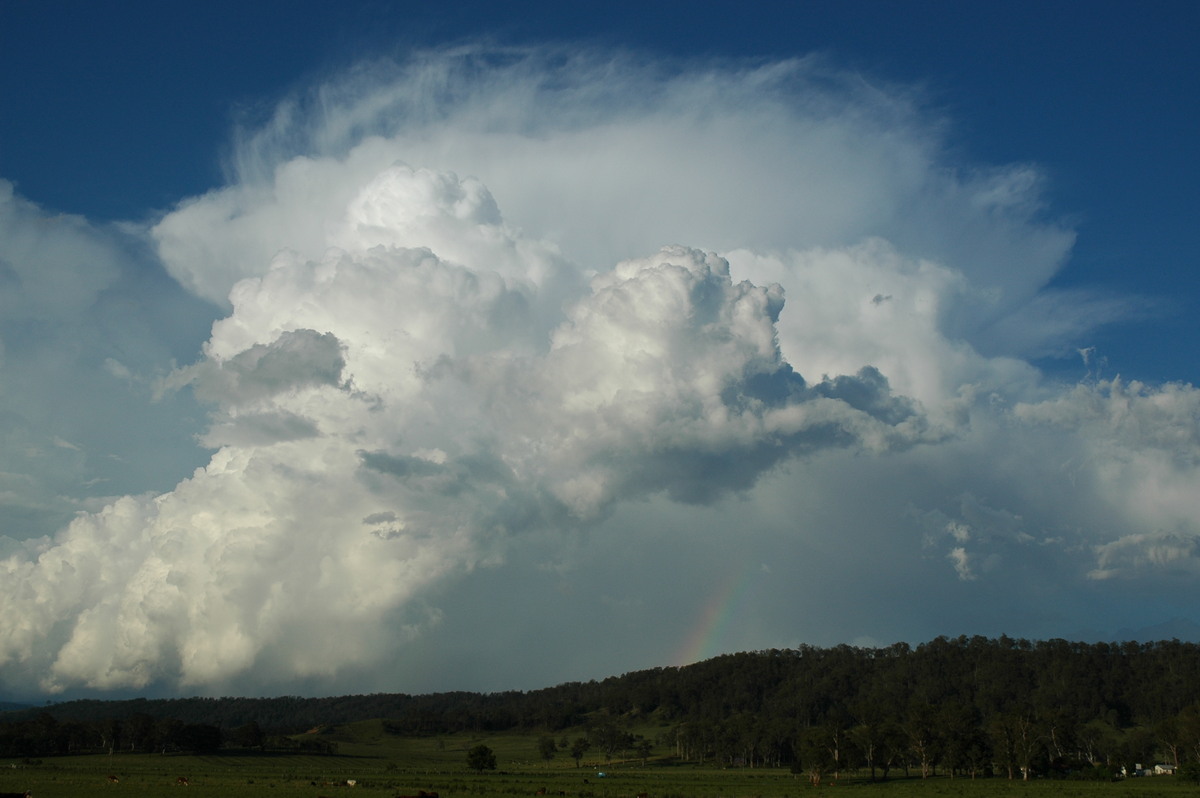 updraft thunderstorm_updrafts : Kyogle, NSW   25 October 2005