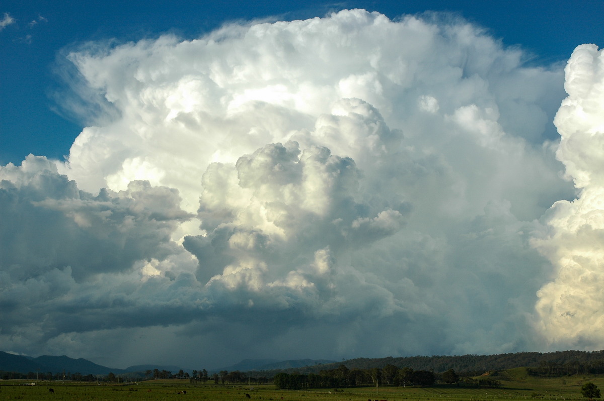 thunderstorm cumulonimbus_incus : Kyogle, NSW   25 October 2005