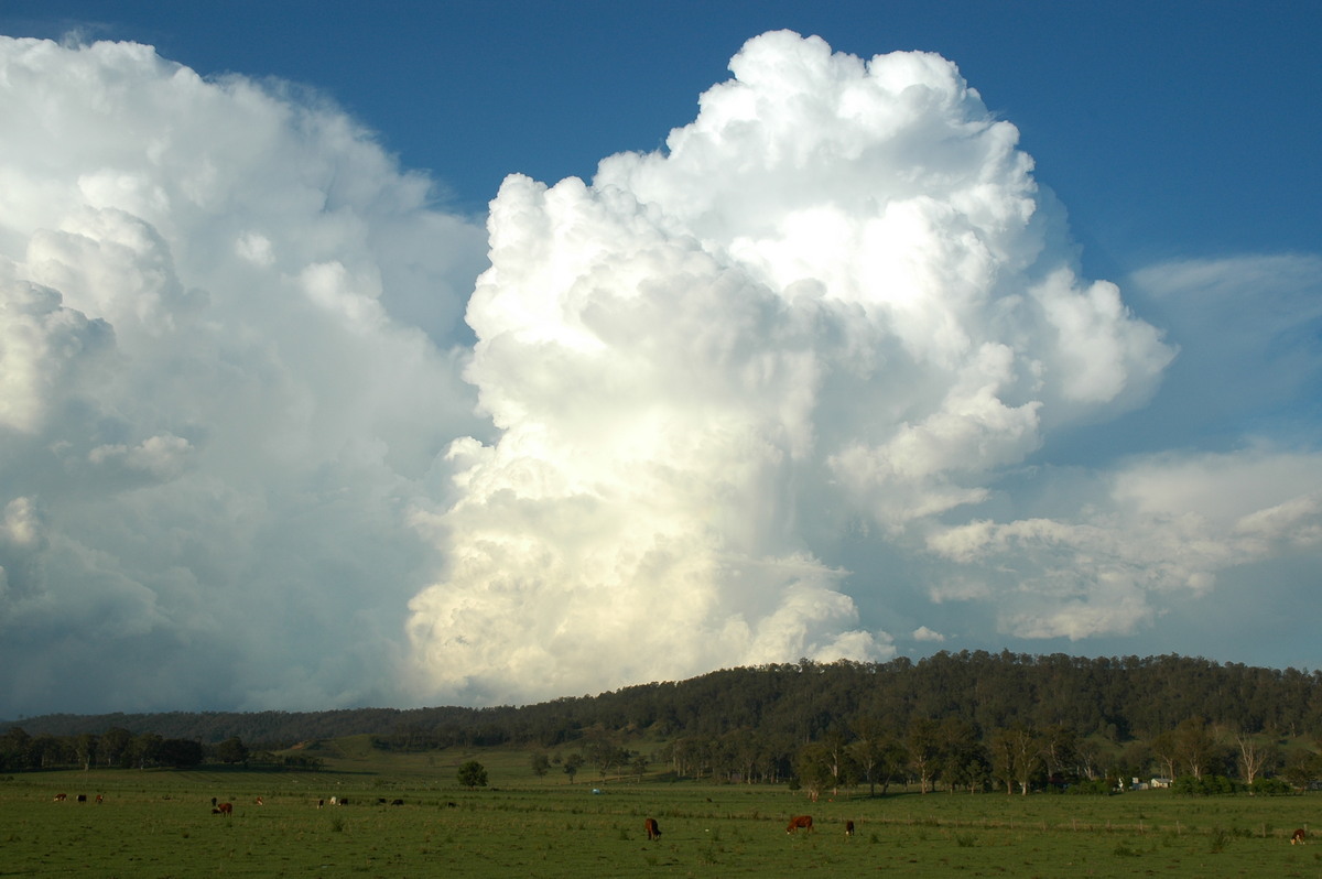 updraft thunderstorm_updrafts : Kyogle, NSW   25 October 2005