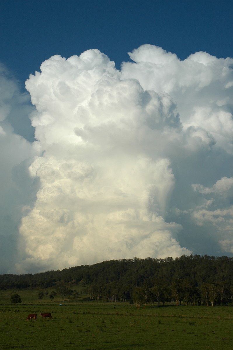 thunderstorm cumulonimbus_incus : Kyogle, NSW   25 October 2005