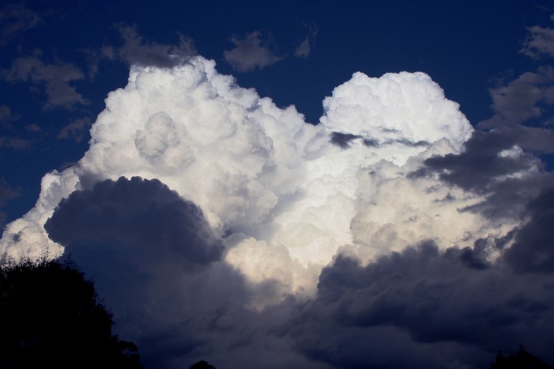 thunderstorm cumulonimbus_calvus : near Topdale, NSW   27 October 2005