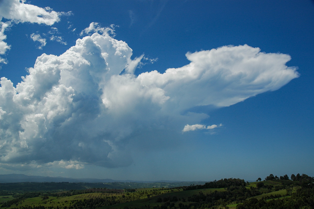 thunderstorm cumulonimbus_incus : McLeans Ridges, NSW   27 October 2005