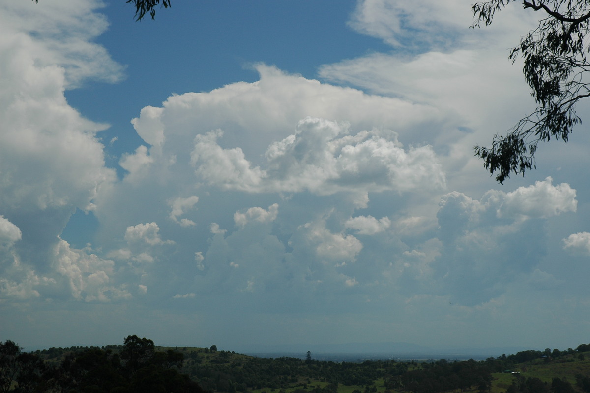 thunderstorm cumulonimbus_incus : Tregeagle, NSW   27 October 2005