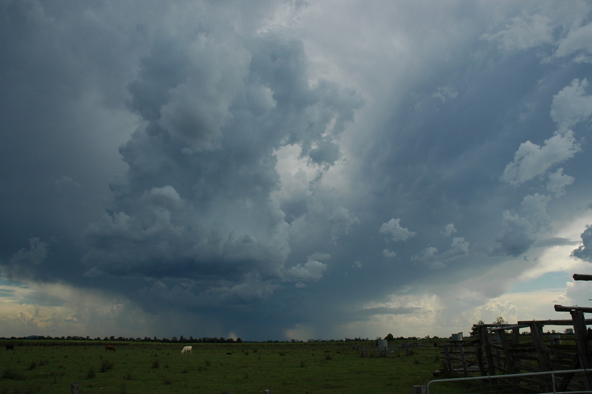 cumulonimbus thunderstorm_base : near Coraki, NSW   27 October 2005
