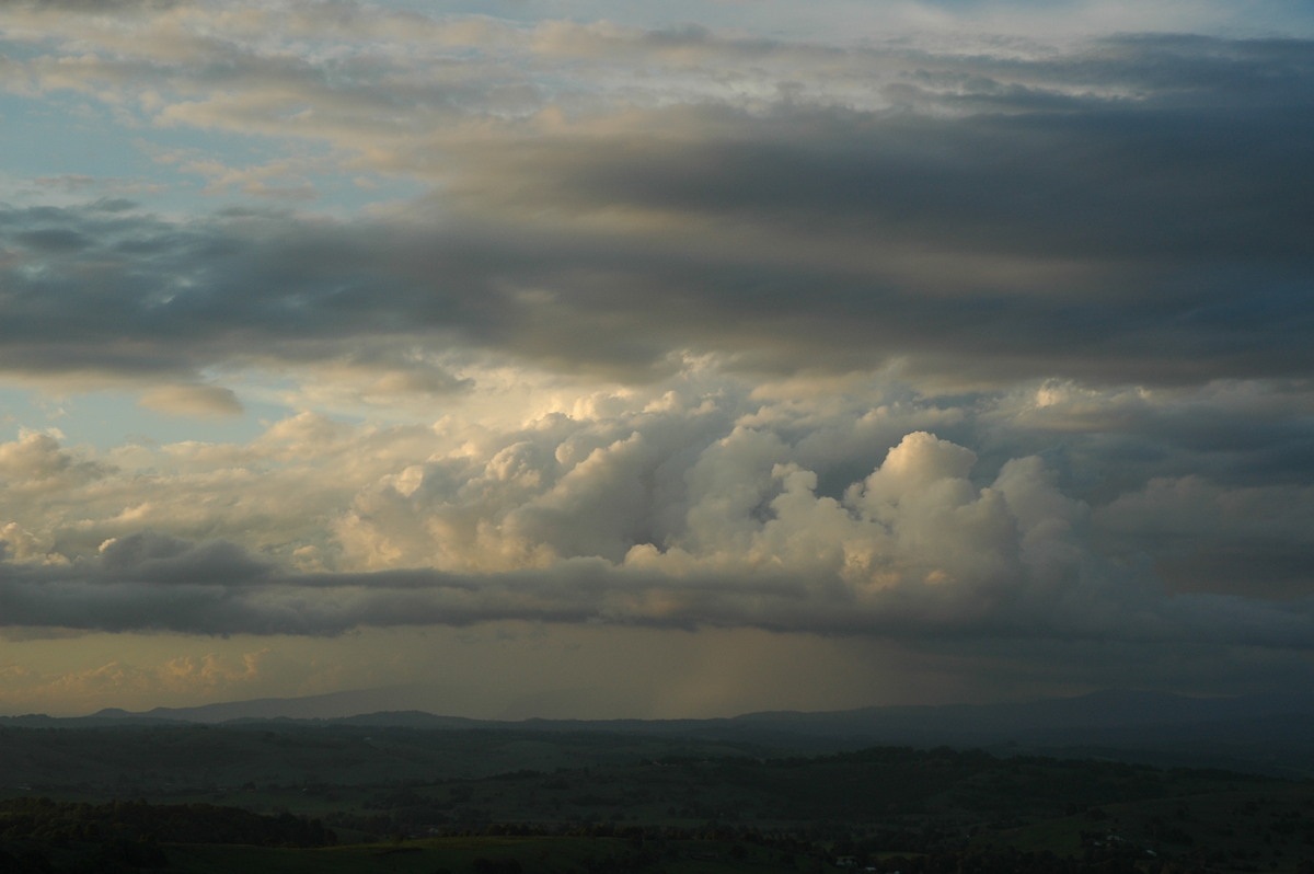cumulus mediocris : McLeans Ridges, NSW   28 October 2005