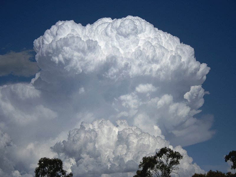 updraft thunderstorm_updrafts : Walcha, NSW   20 November 2005