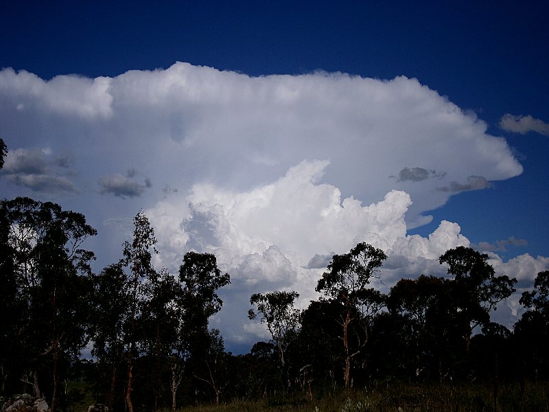 anvil thunderstorm_anvils : Walcha, NSW   20 November 2005