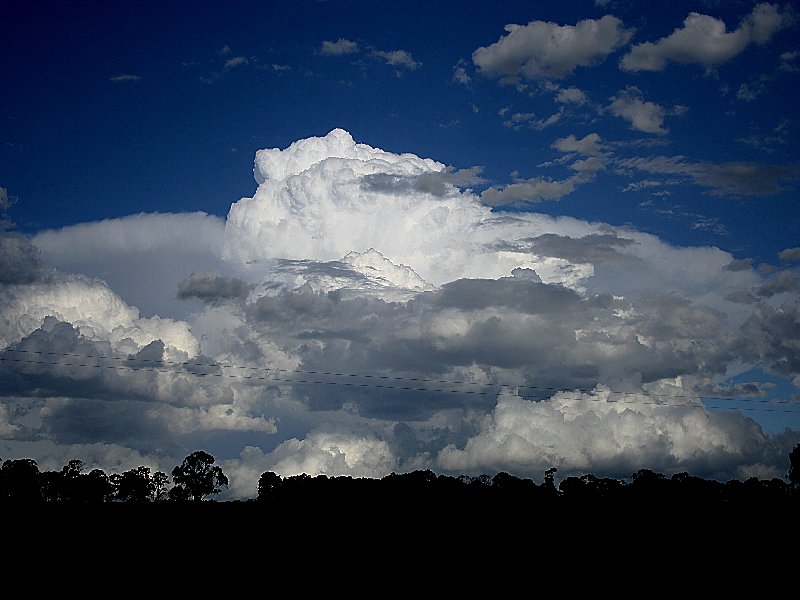 thunderstorm cumulonimbus_calvus : Walcha, NSW   20 November 2005